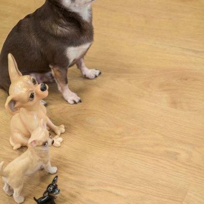 Кварцвиниловая плитка FineFloor ff-1900 rich дуб сицилия ff-1977