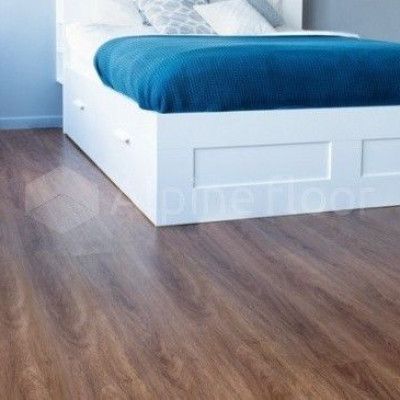 Кварцвиниловая плитка Alpine floor Easy Line Eco 3-22 Сосновый бор
