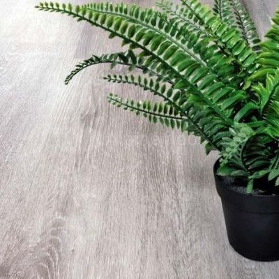 Кварцвиниловая плитка Alpine floor Classic ЕСО 134-5 Ясень серый