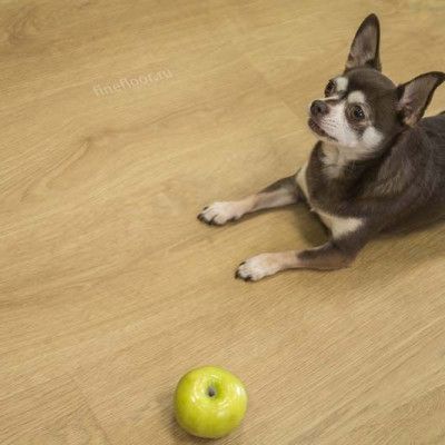 Кварцвиниловая плитка FineFloor ff-1900 rich дуб сицилия ff-1977