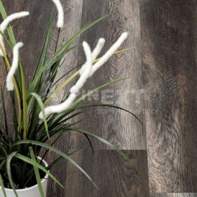 Кварцвиниловая плитка Alpine floor Easy Line ECO 3-13 Орех темный