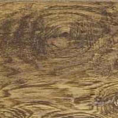 Кварцвиниловая плитка FineFloor FF-1900 Rich Пекан Барроу FF-1967