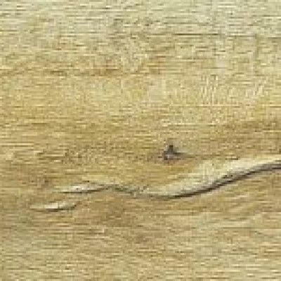 Кварцвиниловая плитка FineFloor FF-1900 Rich Дуб Гавана FF-1981